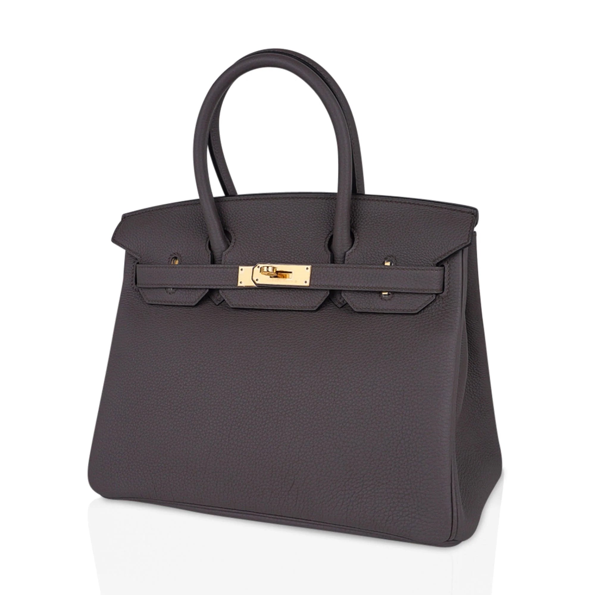Birkin 30 Bag Etain Gray Coveted Gold Hardware Togo